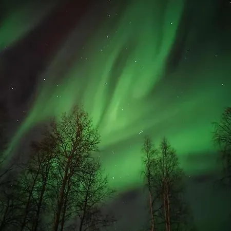 Huvilat Polar River *
